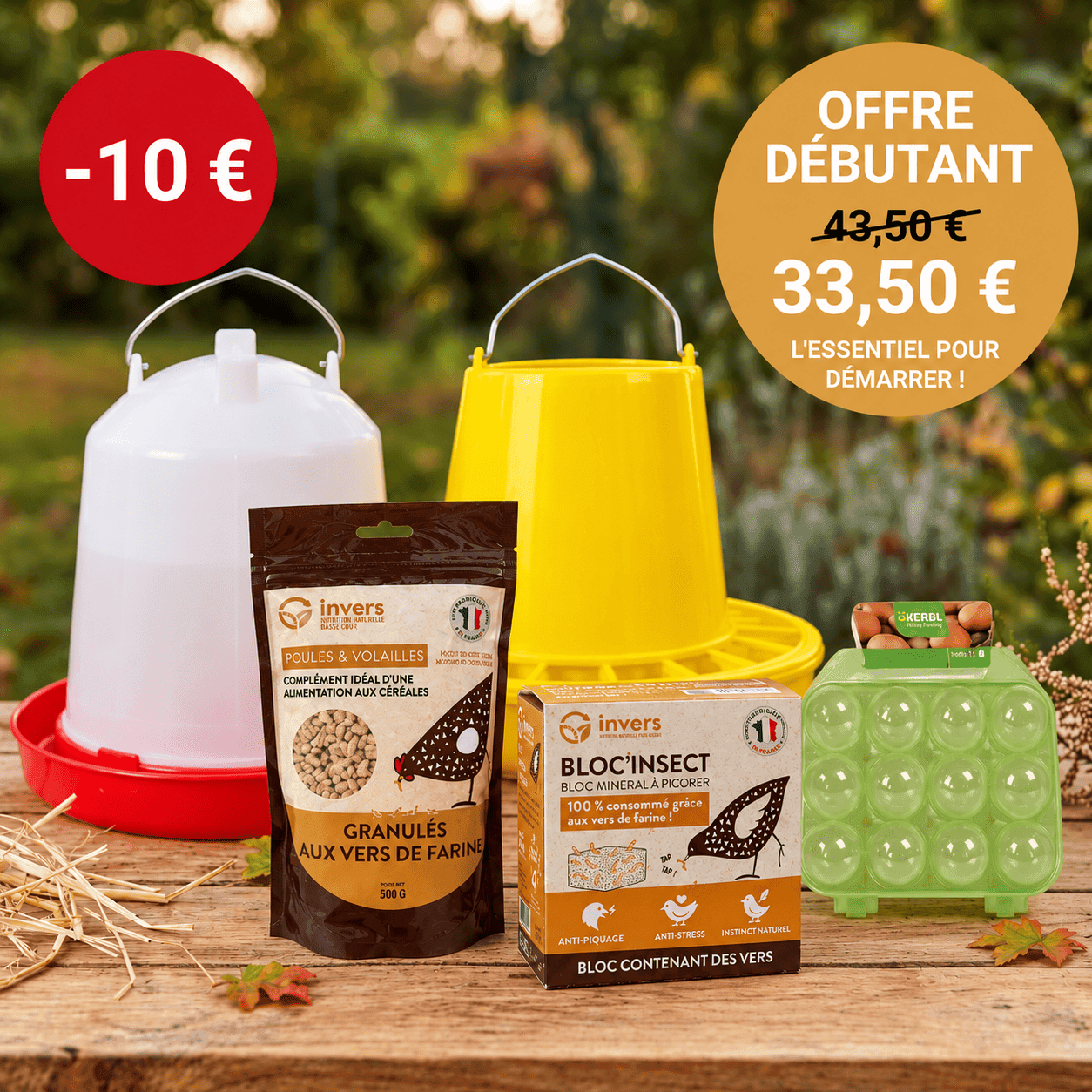 Pack Débutant : Le kit complet pour installer vos premières poules