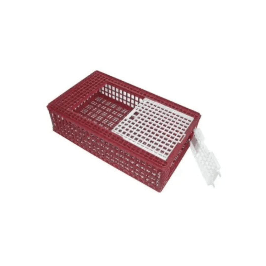 Cage de transport volailles