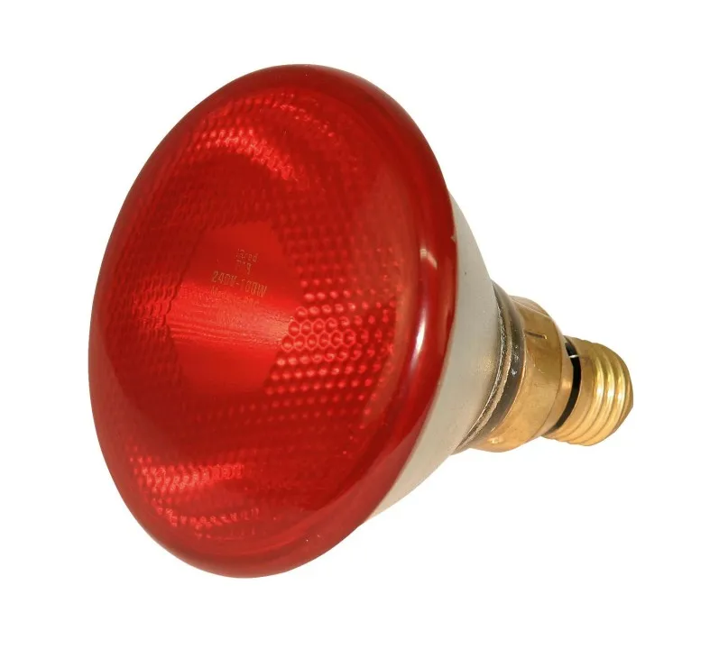 Lampe IR Kerbl économique rouge, 175W